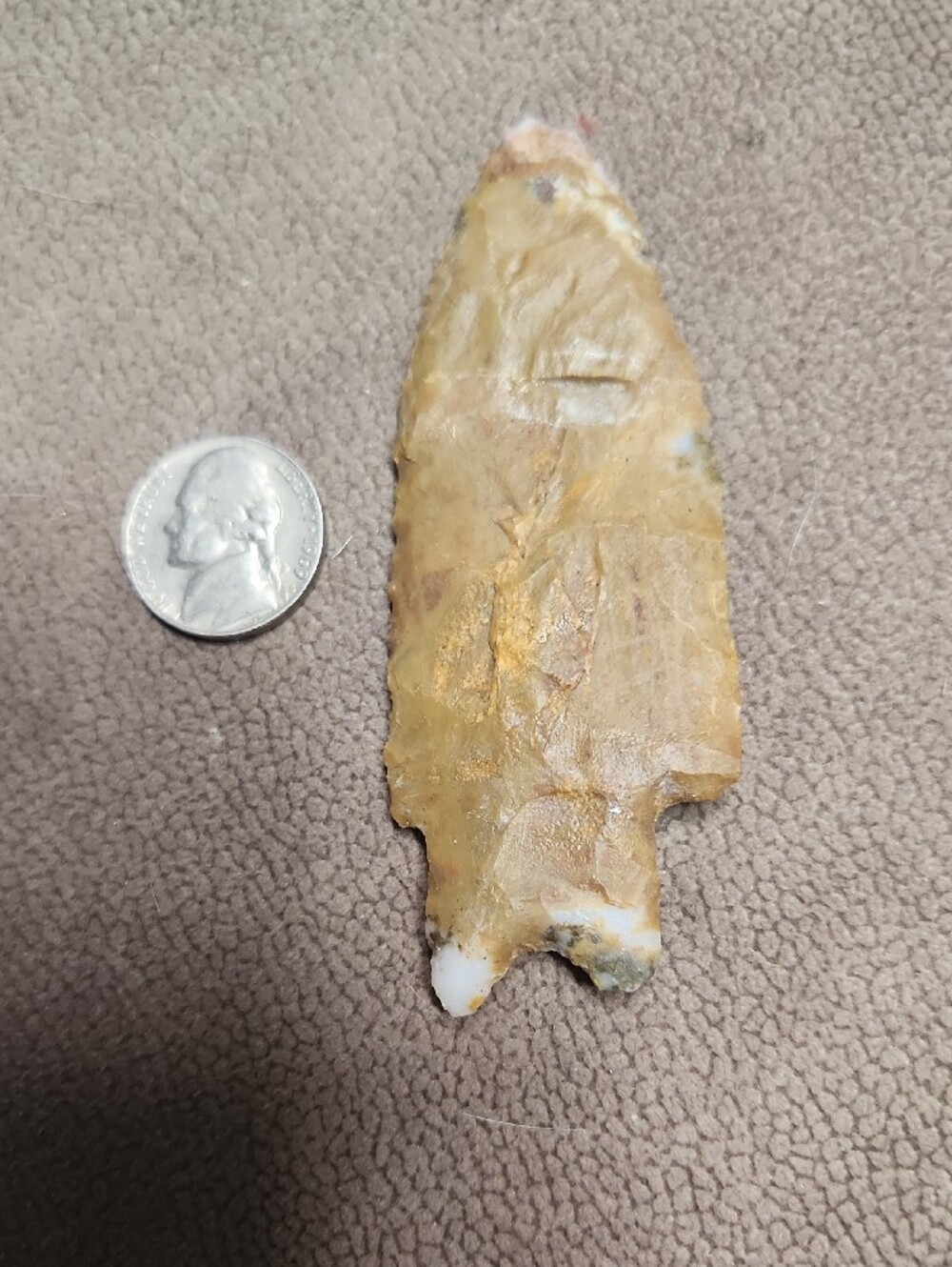 High Grade JESPERIZED Chert Brown Fossil Stone - Brown - Picture 6 of 16